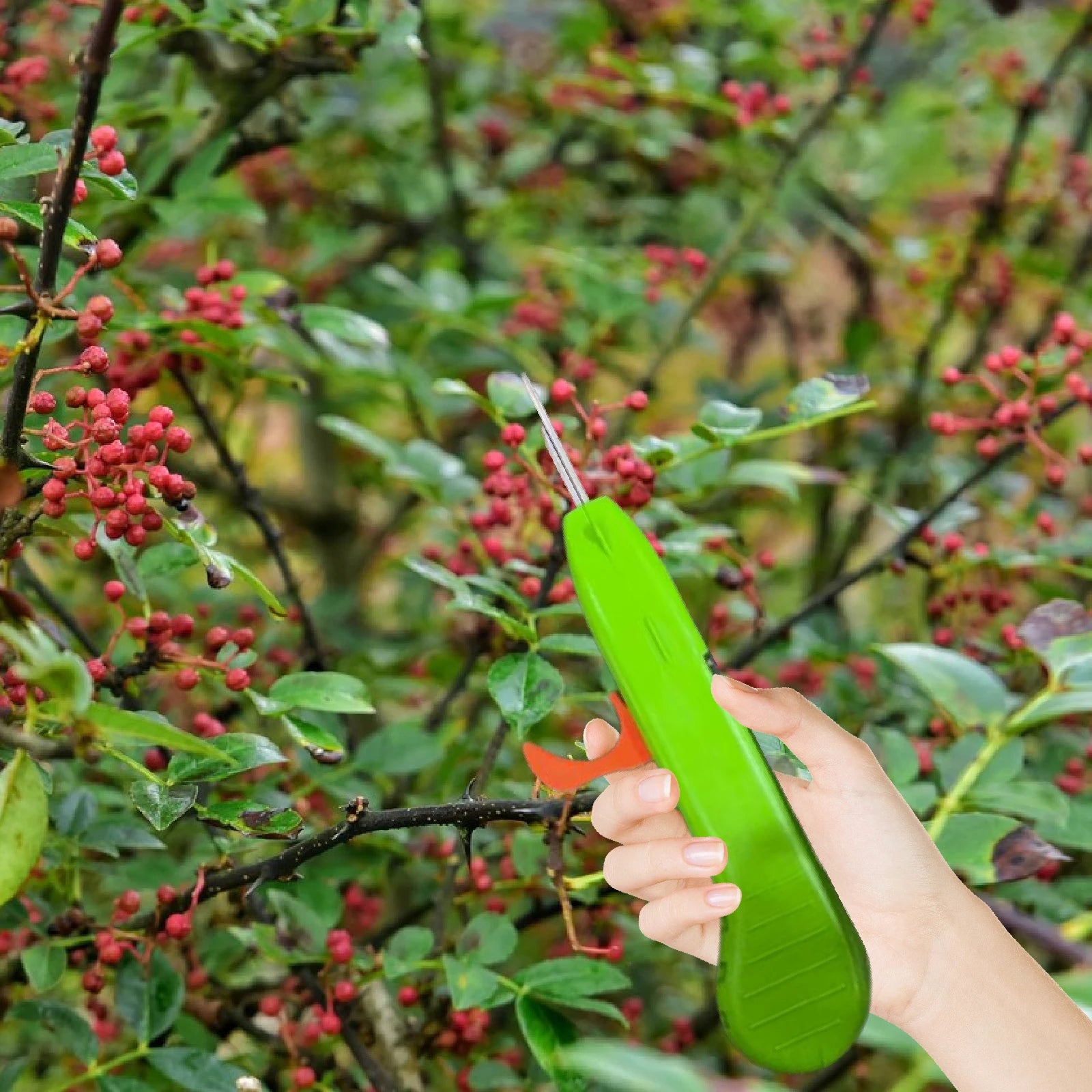 Handheld Pepper Scissors Pepper Picking Tool Portable Fruit Picking Tool for Garden Plant Chili Vegetable Fruit Pruning Picking Zpaxo