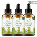 Cactus Essential Oil Plant Fragrance Suitable Multi-functional Uses Zpaxo Cactus 3PCS 30ml