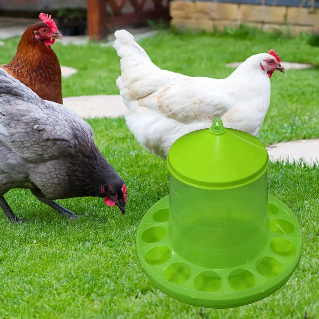 Automatic Poultry Feeder Drinking Bowl Farming Tools Feeding Zpaxo