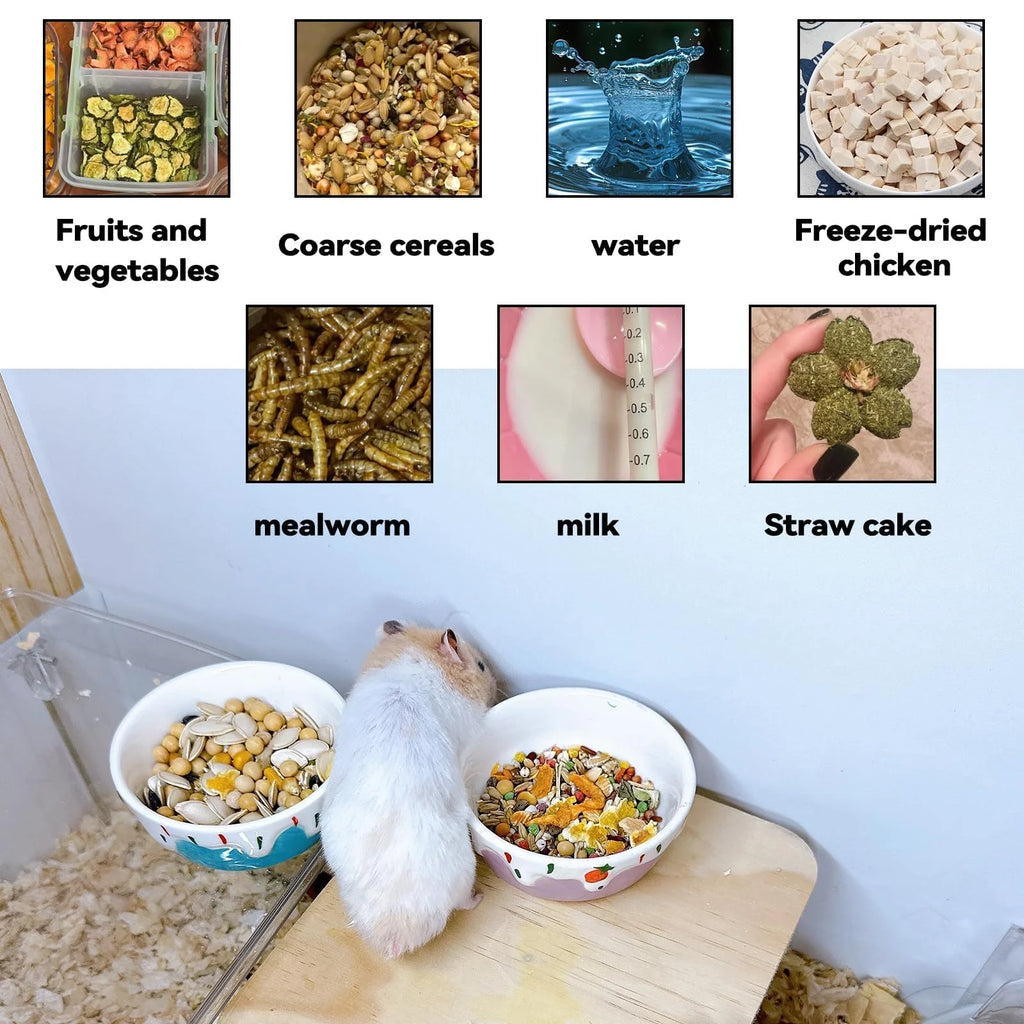 1Pc Creative Ceramic Hamster Food Bowl Anti Spill Stable Rabbit Food Dish Feeding Bowl for Ferret Chinchilla Hamster Dwarf Rat Zpaxo