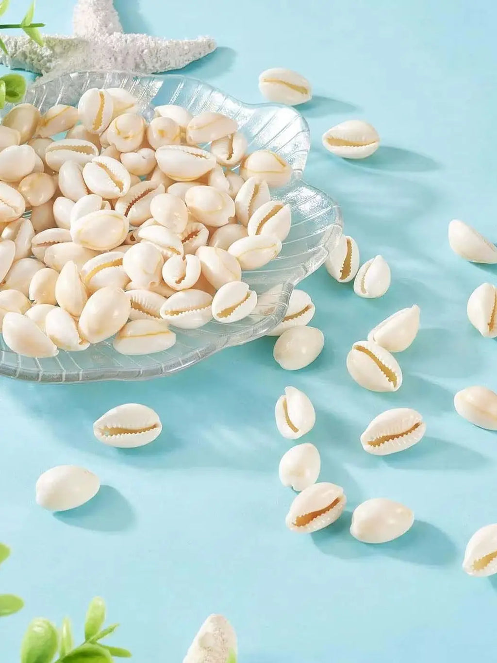 Natural Tiny Small Sea Shells Spiral Seashell iny Beach Seashells for Summer Ocean Jewelry Making Fish Tank Vase Filler Decor Zpaxo 25PCS