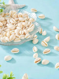 Natural Tiny Small Sea Shells Spiral Seashell iny Beach Seashells for Summer Ocean Jewelry Making Fish Tank Vase Filler Decor Zpaxo 25PCS