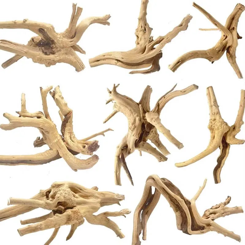 Driftwood Cuckoo Root Aquarium Ornament | Fish Tank Decor 10–26cm Aquarium Ornament Zpaxo