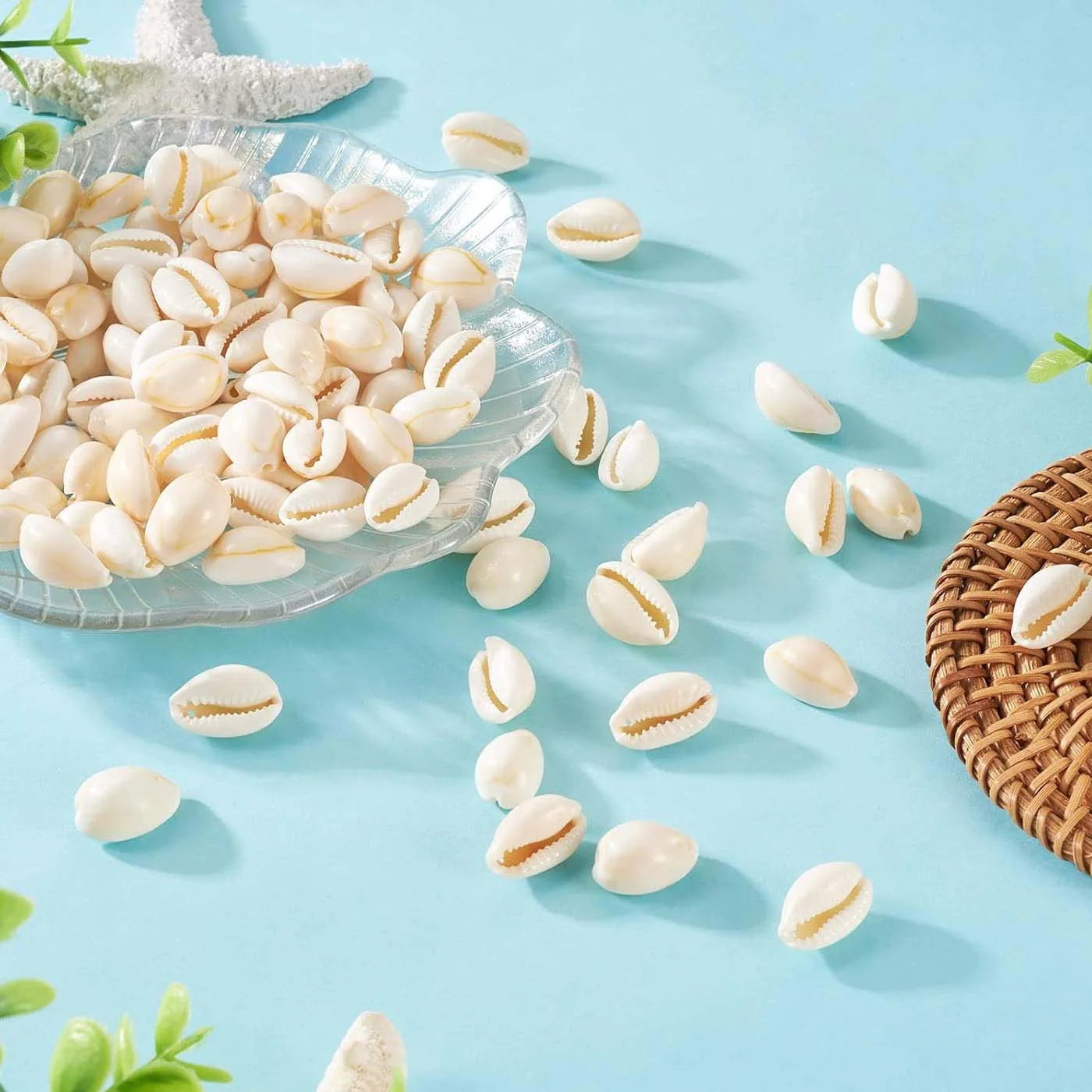 10/20pcs Golden Edged Seashells Home Decor Fish Tank Ornament Beach Theme Aquarium Decoration Shell Accessories Zpaxo