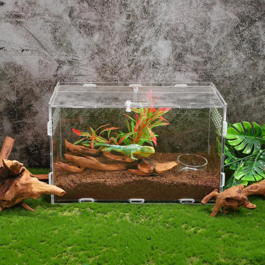 1PC 15-20CM 10-15CM Natural Driftwood for Aquarium Fish Tank Decorations Bearded Dragon Reptiles Air Plants Decor Accents Zpaxo