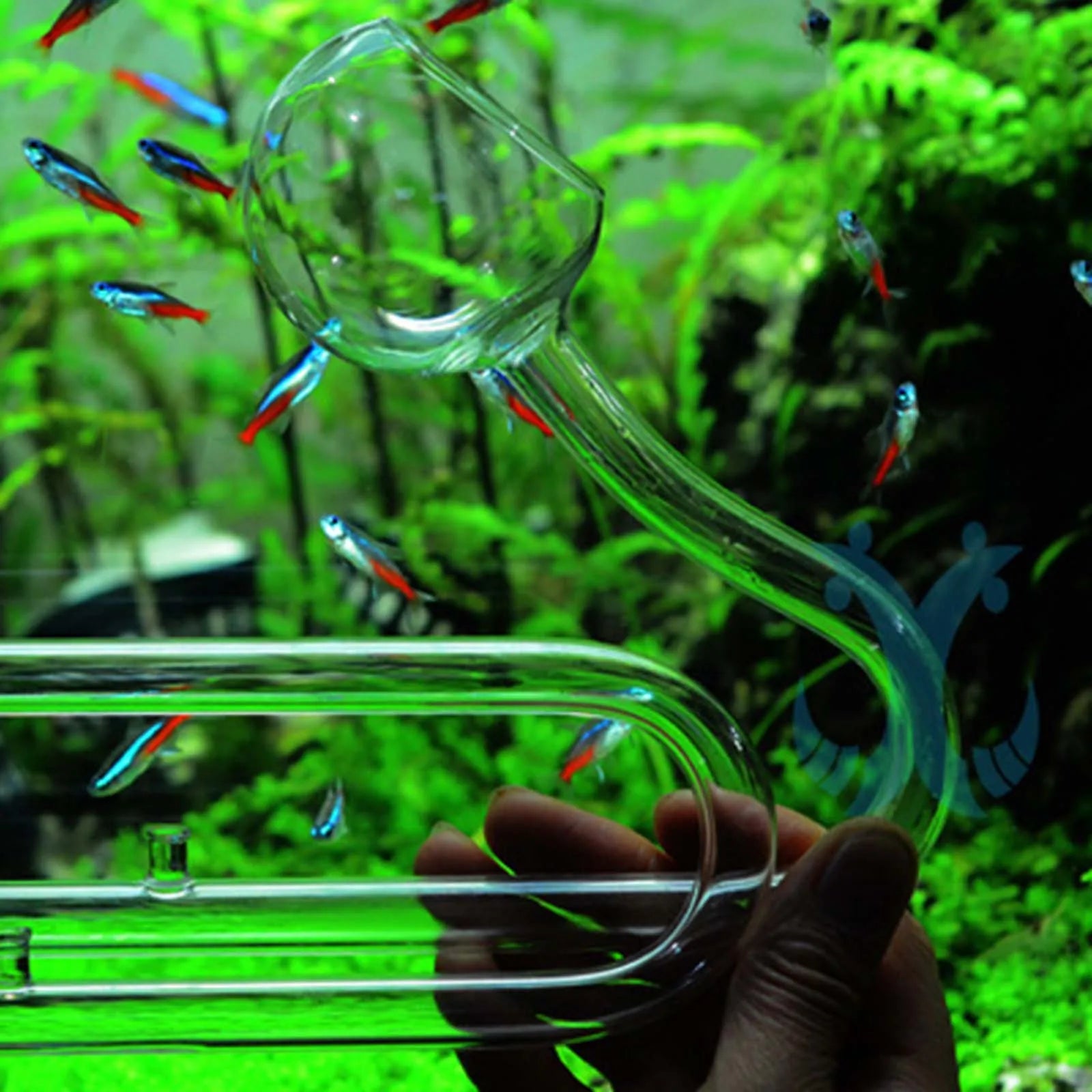 Aquariums Lily Tube Inflow Outflow Surface Aquariums Water Plant Tank Filter 10/17mm Transparent Easy to Clean Glass Lily Pipe Zpaxo