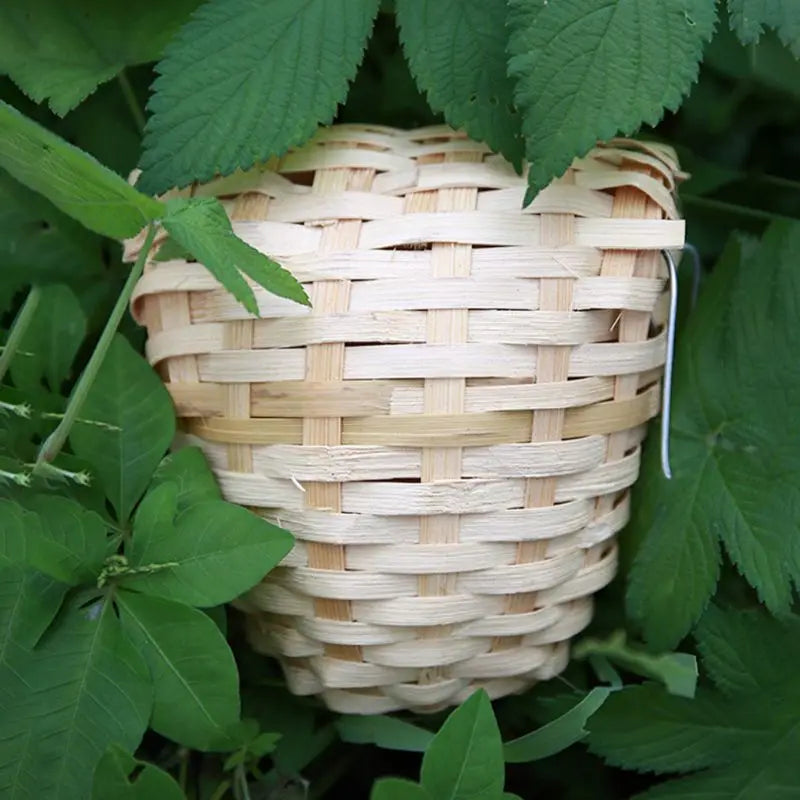 Hand Made Natural Bamboo Bird Nest Bird House Parrot Finch Hideout Cage Toy Outdoor Hut Shelter Birds Supplies Zpaxo