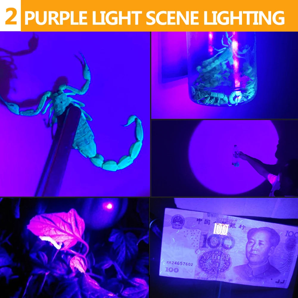 POCKETMAN 2-in-1 UV & LED Headlamp – USB Rechargeable, Waterproof