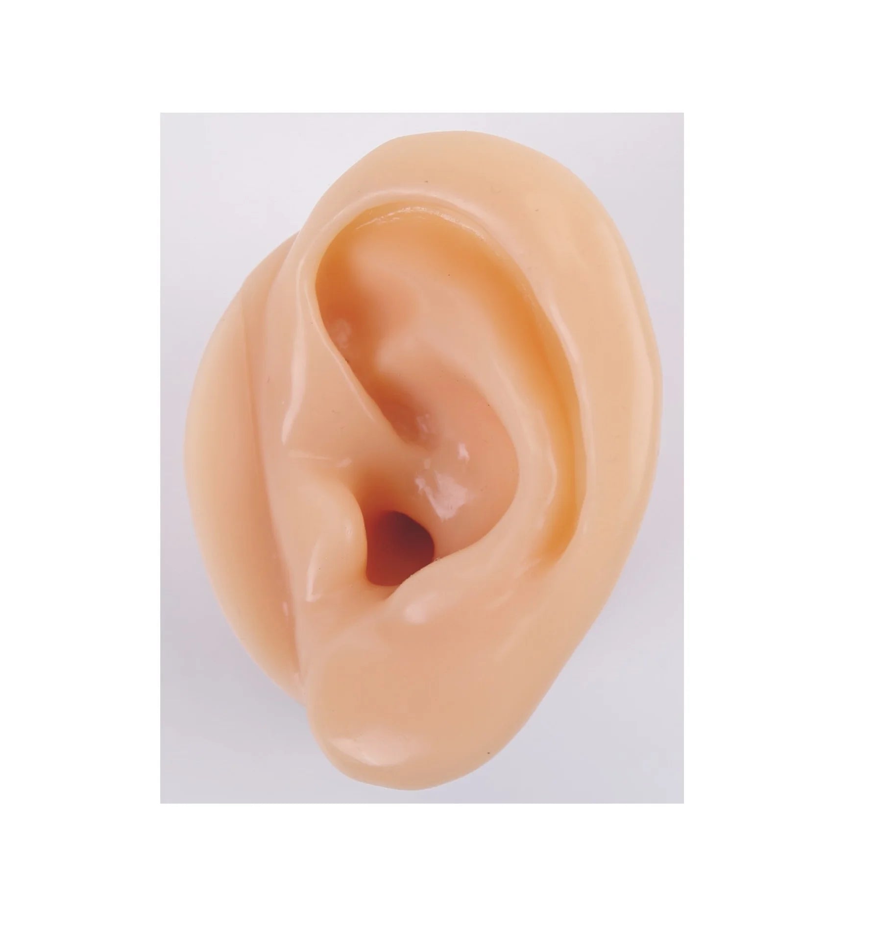 Fake Ear Model Asmr Decompression Voice Control Recording Equipment Zpaxo