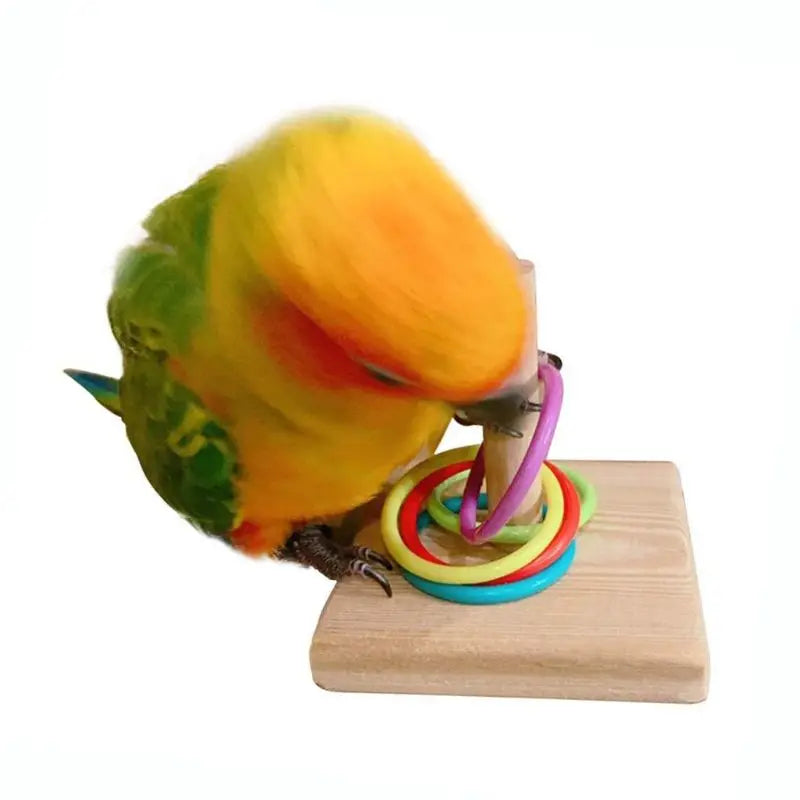 Wooden Bird Toy Parrot Platform Plastic Ring Intelligence Development