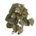 Artificial Reptile Terrarium Plants Realistic Tropical Leaves Tank