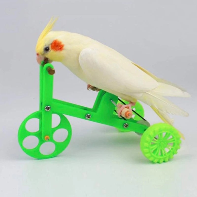 Funny Parrot Bike Toy Birds Training Plaything Supplies Interactive