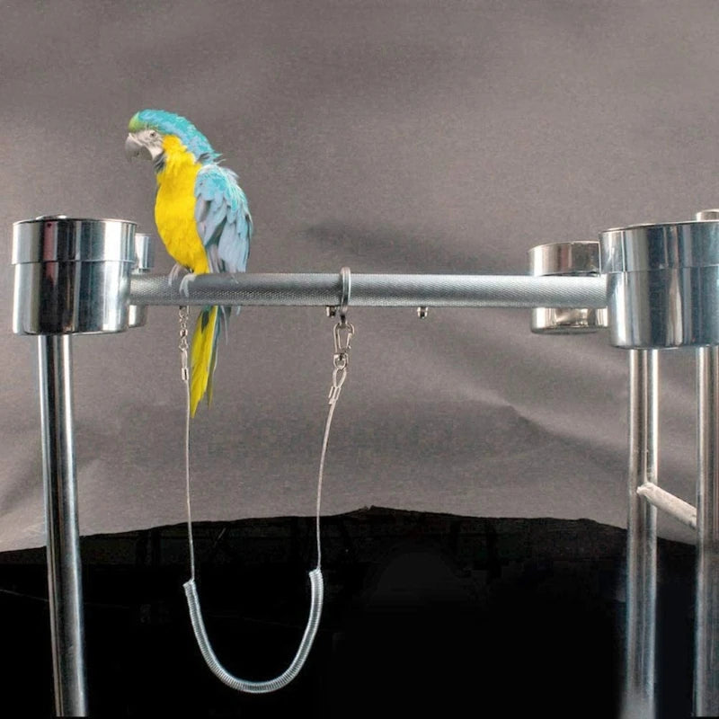 6m Flexible Parrot Bird Harness Leash with Leg Ring Anti-bite Outdoor Flying Training Rope for Birds Parakeet Cockatoo Cockatiel Zpaxo