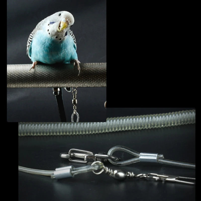 6m Flexible Parrot Bird Harness Leash Leg Ring Anti-bite Outdoor
