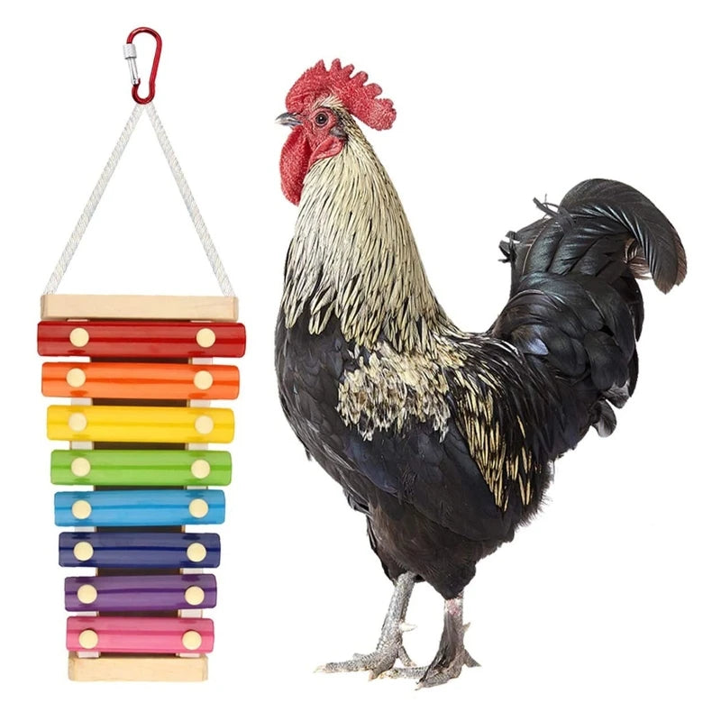 Bird Parrot Intelligence Toy Rope Hanging Chicken Xylophone Hens