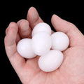 5pcs/lot Bird Supplies Pigeon False Eggs Filled Plastic Solid Simulation Egg For Hatch Breeding Supplies Zpaxo Default Title