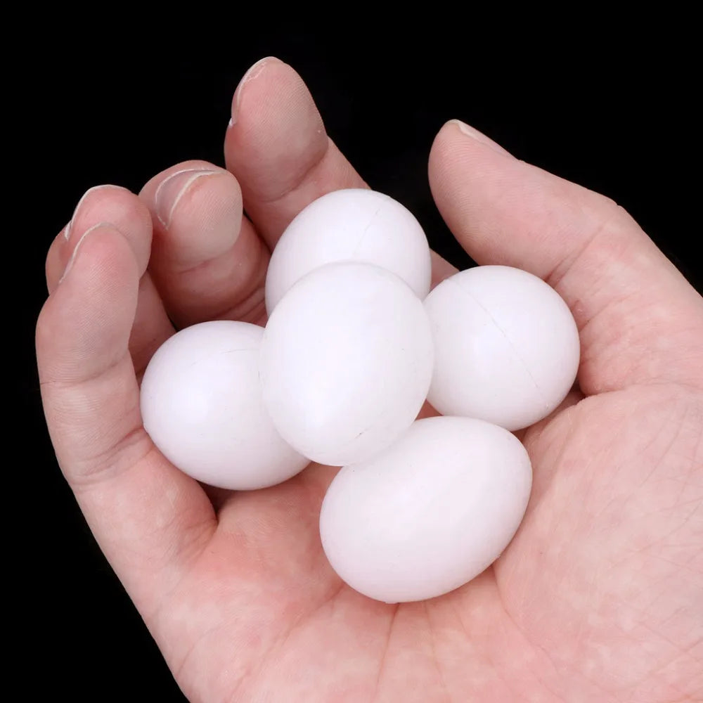 5pcs/lot Bird Supplies Pigeon False Eggs Filled Plastic Solid Simulation Egg For Hatch Breeding Supplies Zpaxo Default Title