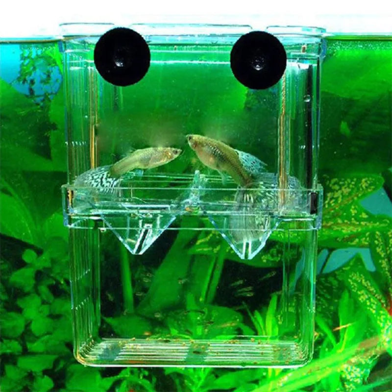 Multifunctional Clear Fish Breeding Isolation Box Aquarium Breeder