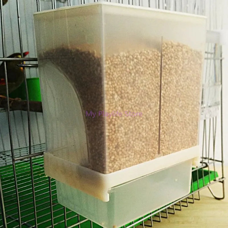 Birds Feeder Automatic Feeders Poultry Feeding Tool Food Container