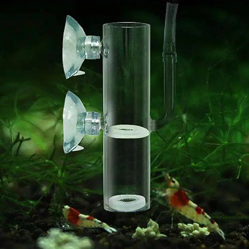 Aquarium Egg Incubator Hatch Crystal Shrimp egg hatcher Fish Tank Transparent Glass Aquarium Supplies Zpaxo Default Title
