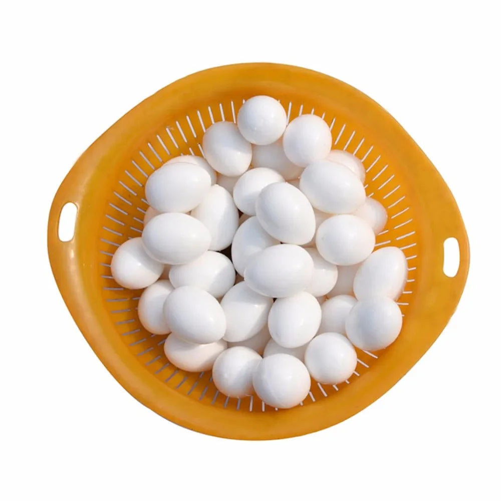 5pcs/lot Bird Supplies Pigeon False Eggs Filled Plastic Solid Simulation Egg For Hatch Breeding Supplies Zpaxo