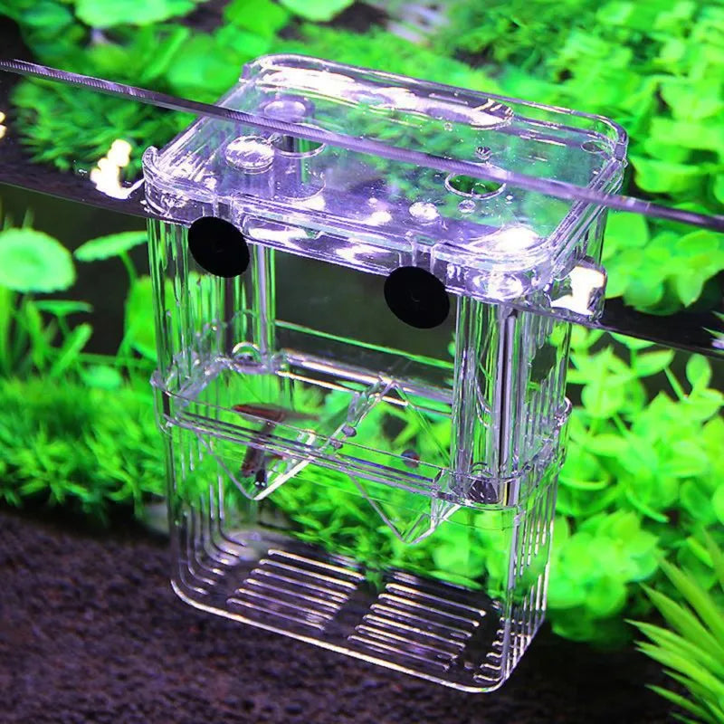 Multifunctional Clear Fish Breeding Isolation Box Aquarium Breeder