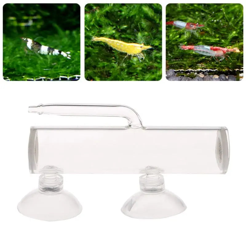 Aquarium Egg Incubator Hatch Crystal Shrimp egg hatcher Fish Tank Transparent Glass Aquarium Supplies Zpaxo