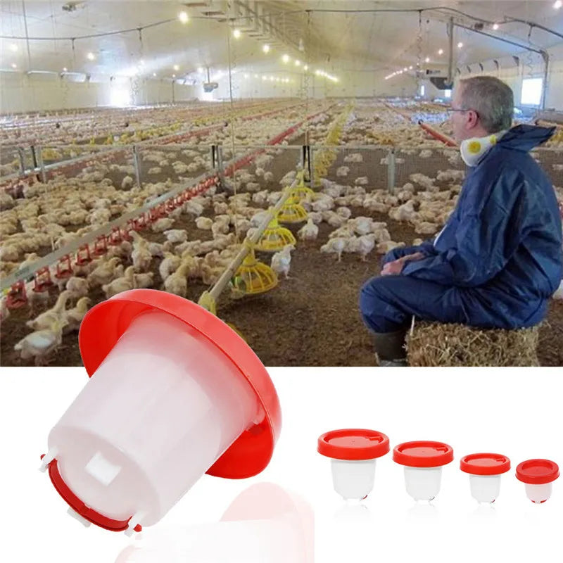Chook Chicken Feeder Drinker Poultry Aviary Automatic Waterer Farm