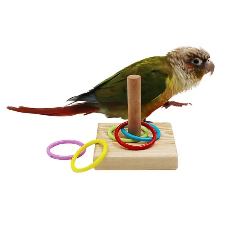Wooden Bird Toy Parrot Platform Plastic Ring Intelligence Development