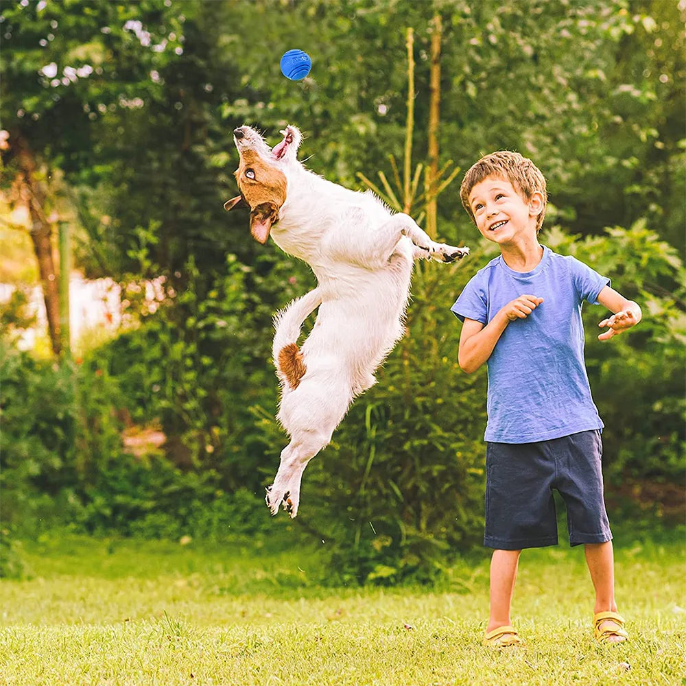 Pet Dog Toys Ball Bouncy Rubber Solid Resistance Chew Outdoor Zpaxo