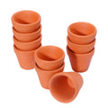10-Pack Red Terracotta Clay Pots – Succulents & Cacti