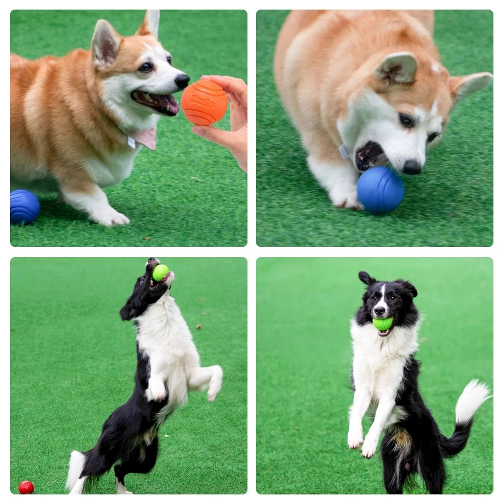 Pet Dog Toys Ball Bouncy Rubber Solid Resistance Chew Outdoor Zpaxo