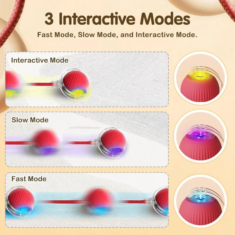 Cat Interactive Ball Training Self-moving Kitten Electric Cat Ball Toys Electronic Automatic Rolling Magic Ball Toys for Cat Zpaxo