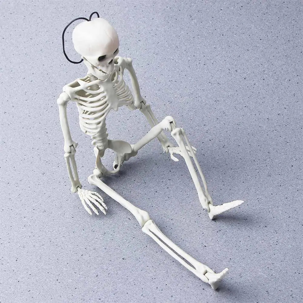 40cm Ornaments Car interior accessories Biology teaching Human Bones Halloween props Car Rearview mirror pendant Skeleton model Zpaxo