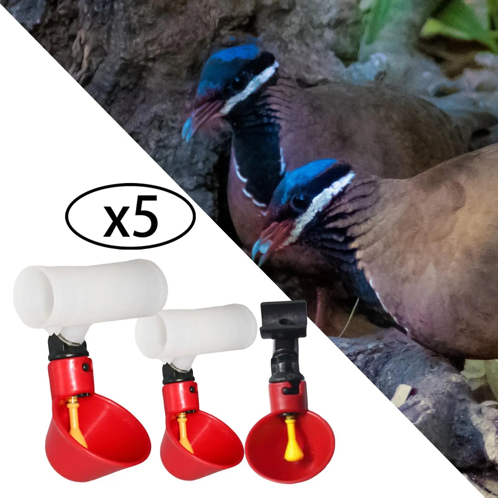 5 Pieces Automatic Chicken , Waterers Cups, Plastic Bowls Feeder Watering Cups for Chicks Poultry Supplies Hen Backyard Zpaxo