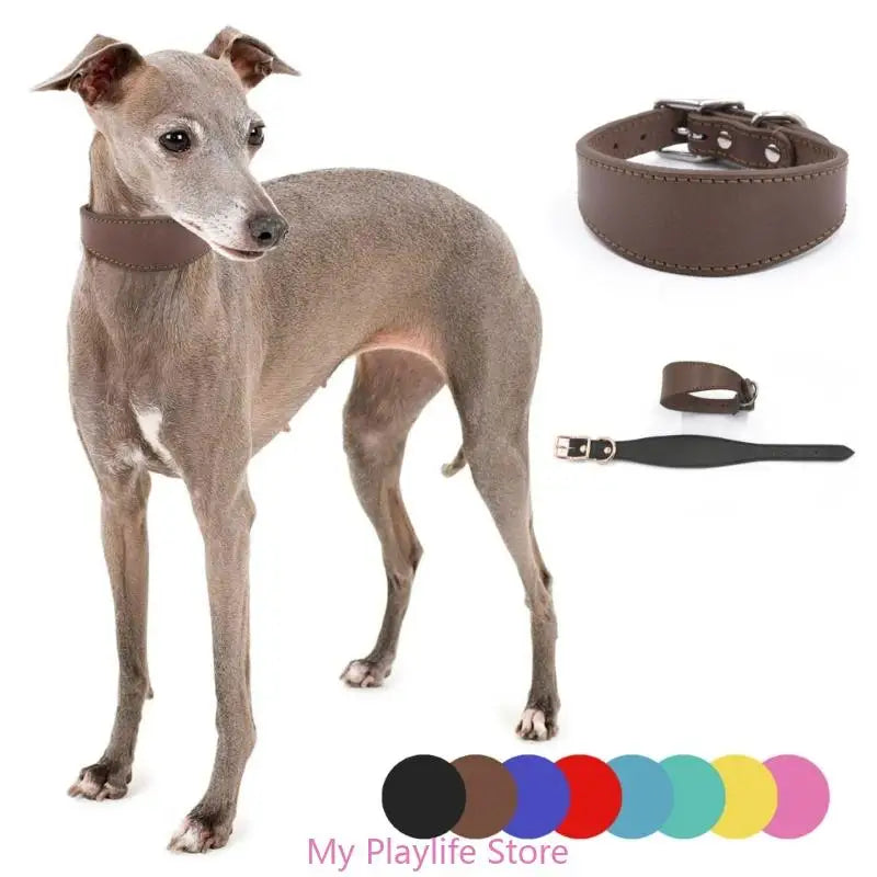 Collar Whippet Leather Soft Suede Pedded Wide Collars Lurcher and Italian Greyhound Saluki Sighthound Dog Supplies Zpaxo