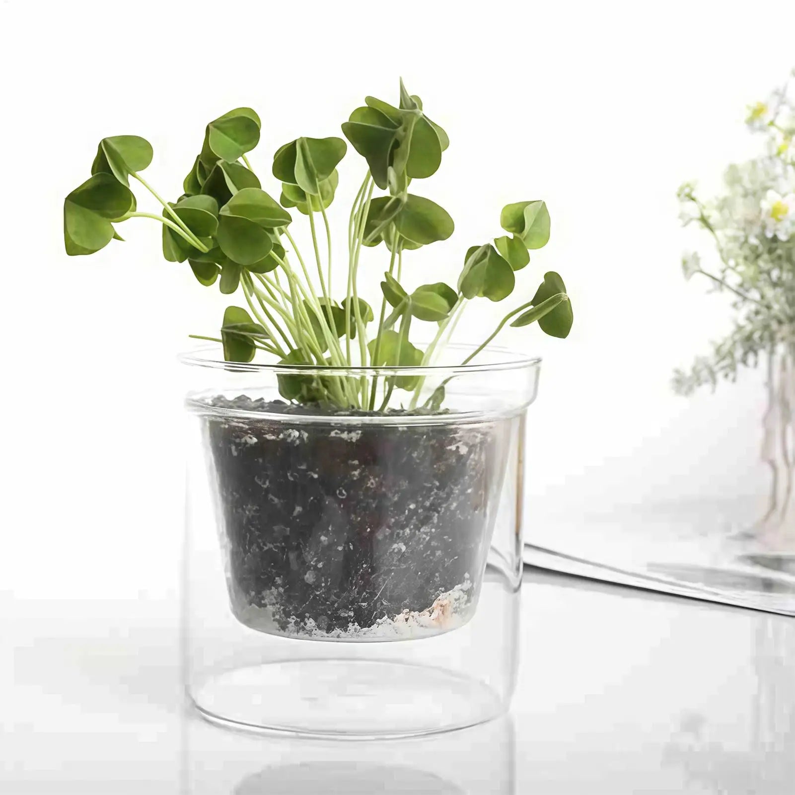 Clear Glass Flower Pot Double Layer Self Watering Planter Hydroponic