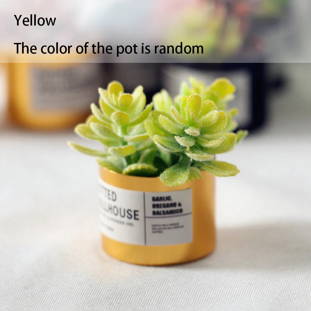 Mini Plastic Succulent Pots – Fairy Garden & Dollhouse Decor
