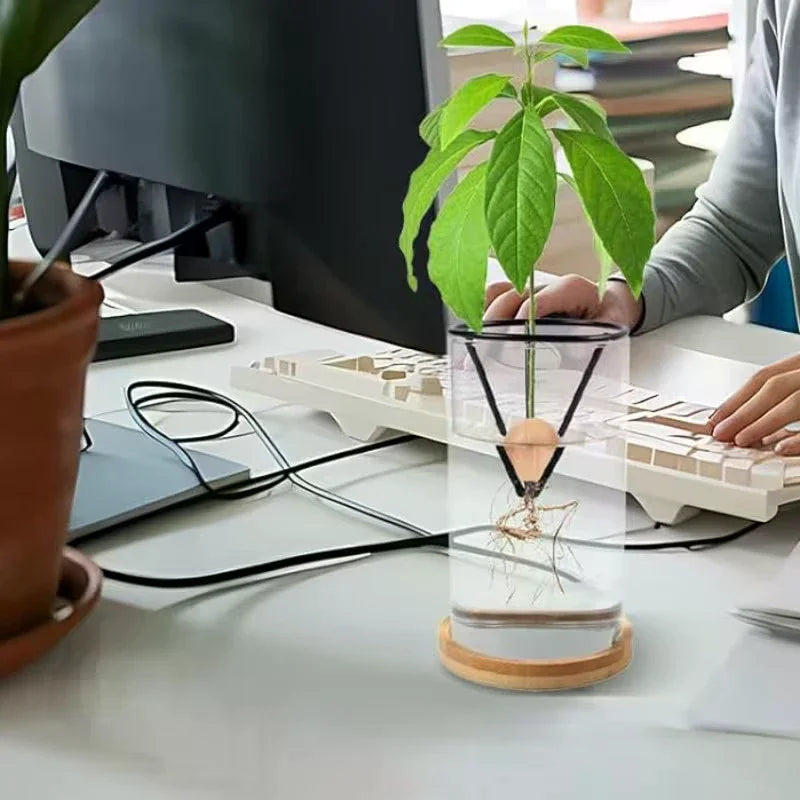 1/2/4pcs Avocado Seed Starter Vase Holders Avocado Seed Growing Triangle Metal Stand Carrots, Sweet Potatoes Growing Stand Zpaxo