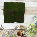 11 8x11 Artificial Moss Sheet Realistic Decor Crafts Terrariums