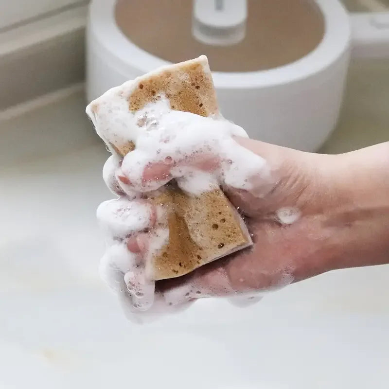 Three-Layer Seaweed Dishwashing Sponges – 2 to 20 Pack