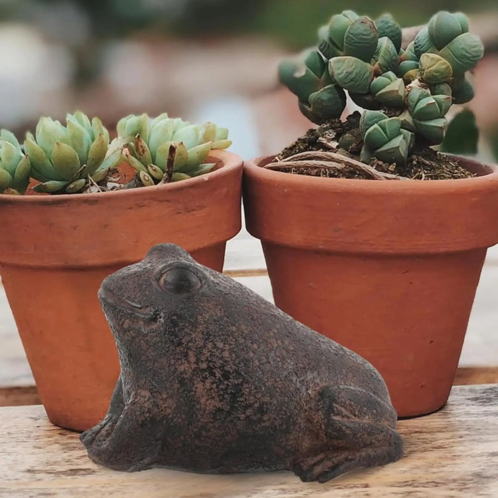 Key Hiders Outside Frog Shape Secret Storage Resin Statue Hiding