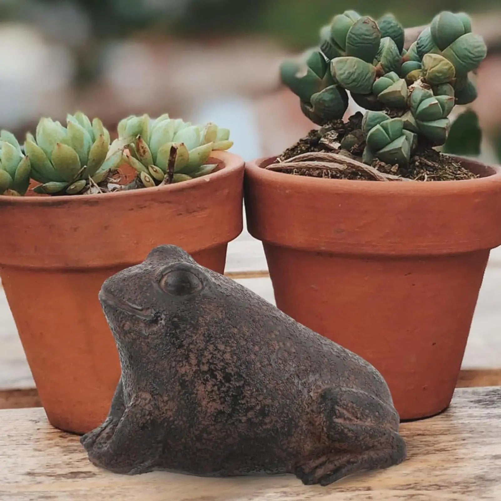Key Hiders Outside Frog Shape Secret Storage Resin Statue Hiding