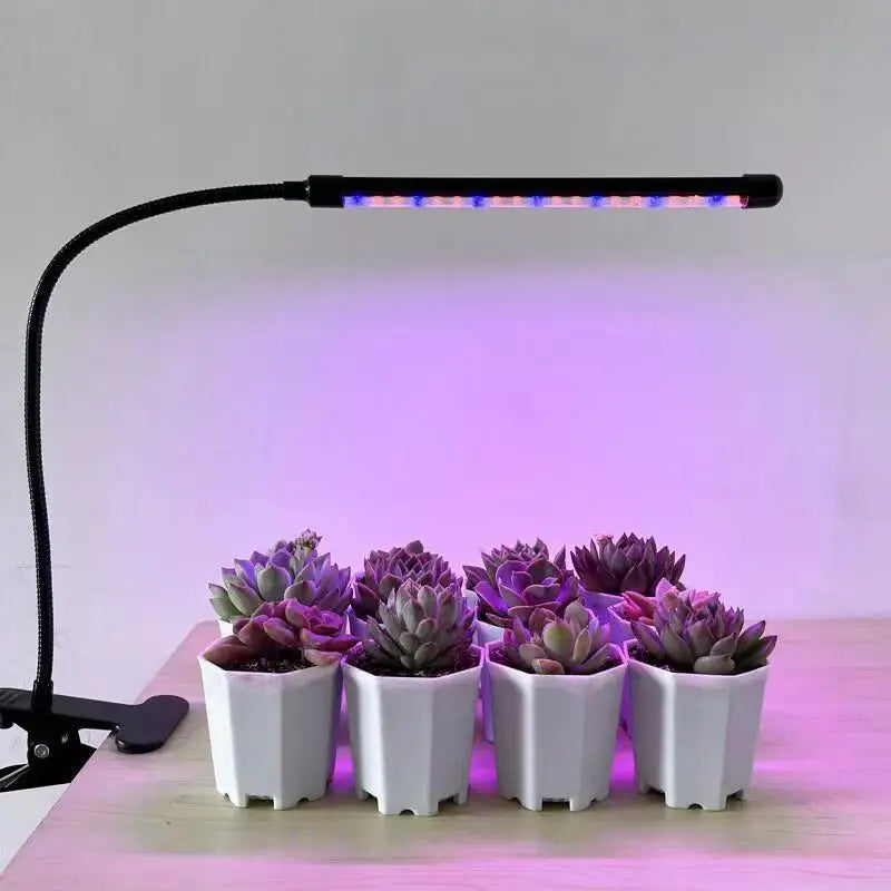 Full Spectrum LED Grow Light for Indoor Plants & Succulents