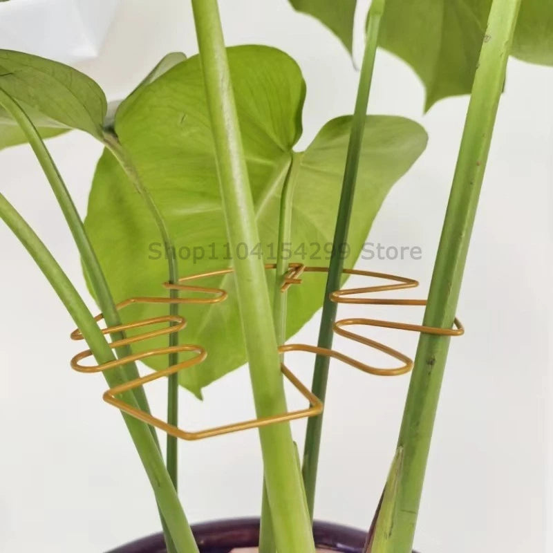 Adjustable Metal Plant Stem Support Flower Climbing Stem Holder Vine Branch Iron Hooks Garden Plant Climbing Plant Trainer Zpaxo