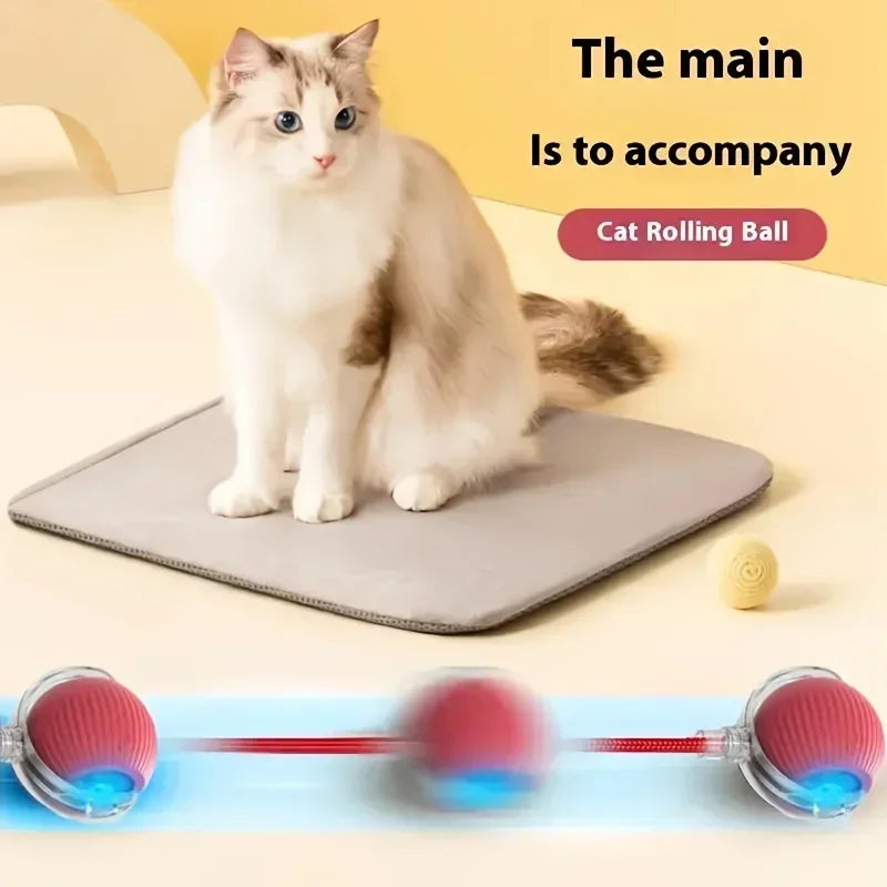 Cat Interactive Ball Toy Automatic Rolling Ball Faux Tail Rechargeable Pet Electric Toy Dog Cat Training Imitate Mouse Products Zpaxo