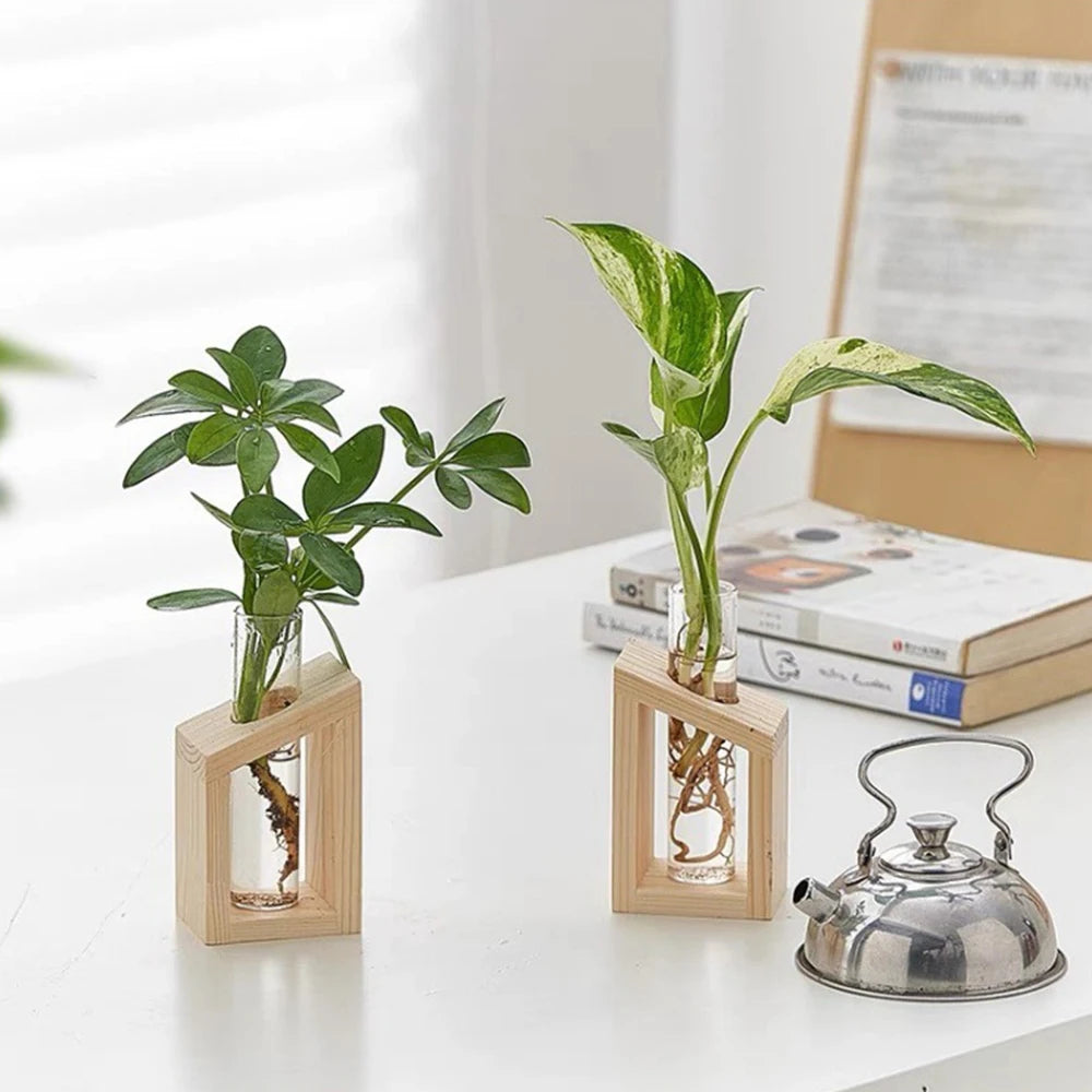 Test Tube Glass Vase Plant Propagation Station Hydroponic Vases for Plants with Wooden Stand Terrarium Office Home Desktop Decor Zpaxo