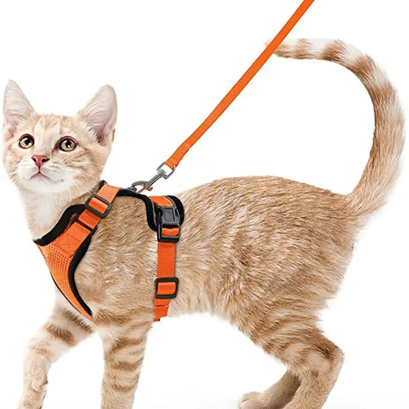 Cat Harness and Leash for Walking, Escape Proof Soft Adjustable Vest Harnesses for Cats, EasyControl Zpaxo orange S