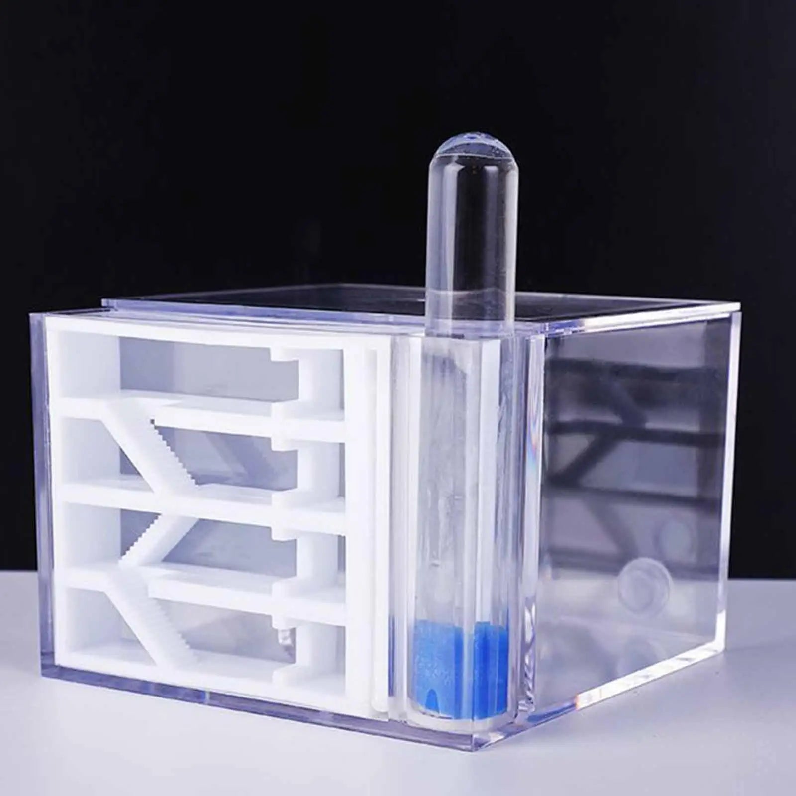 ANT Farm DIY Science Educational Study Easy Assemble Habitat Home Zpaxo