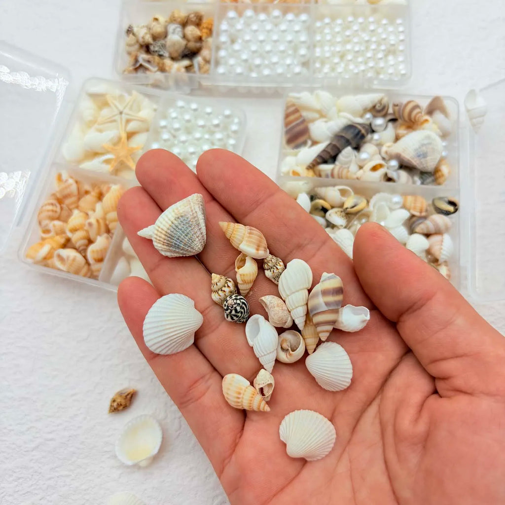 Natural Mixed Sea Shells & Pearl Charms – DIY Craft & Decor Shell Craft Charms Zpaxo